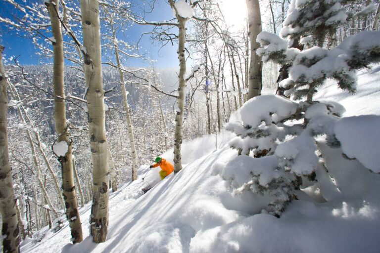 Beaver Creek Powder Skier