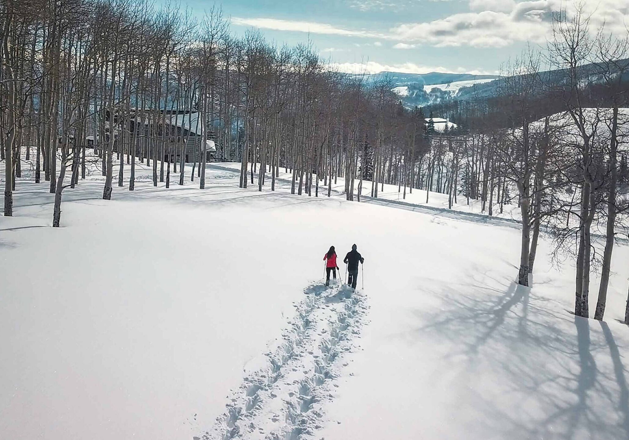 Winter SnowShoe
