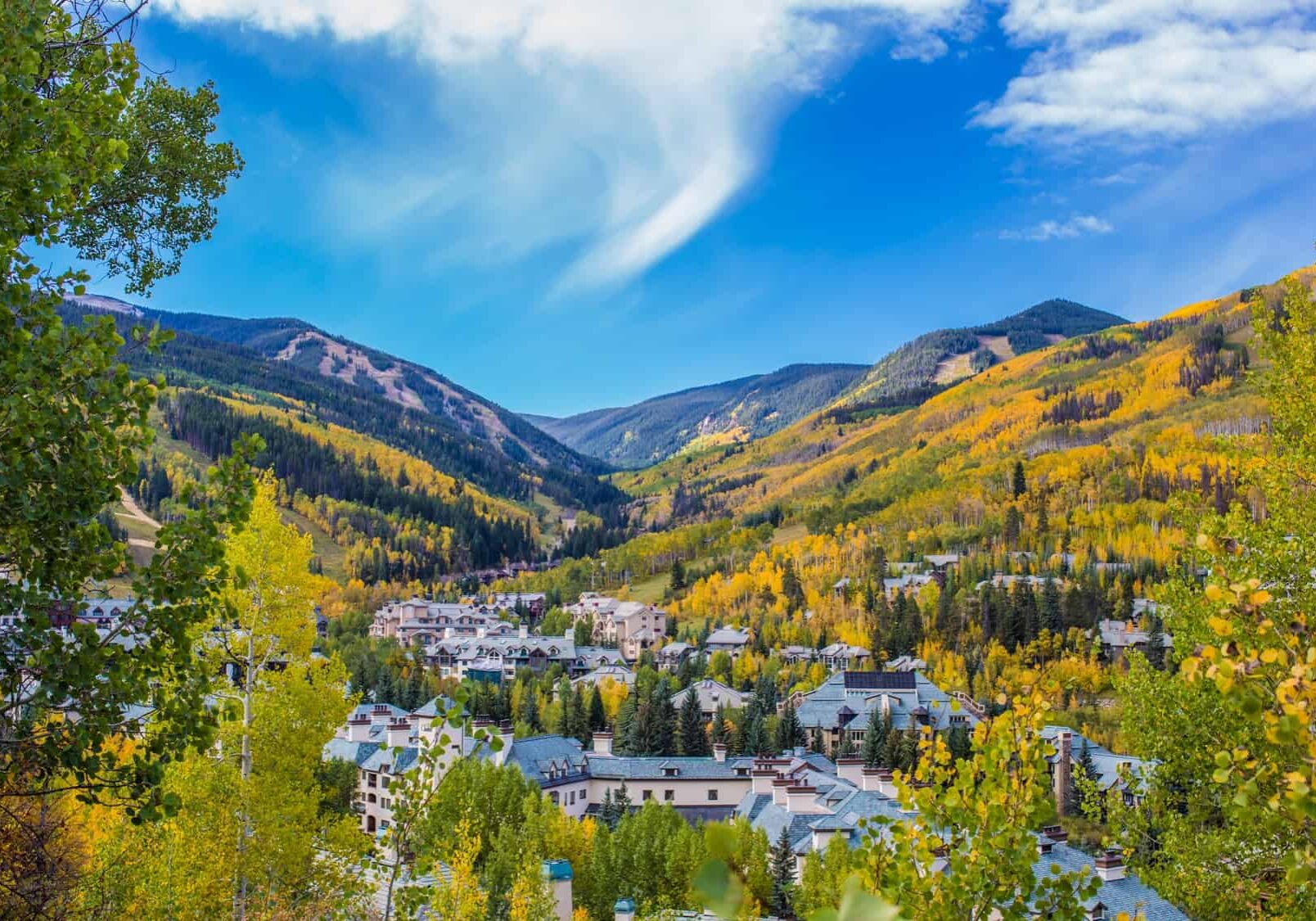 494983781_1226433609486911_8134785000430602924_n